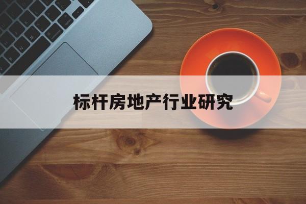 丹东市标杆房地产行业研究(房地产领域的标杆人物)