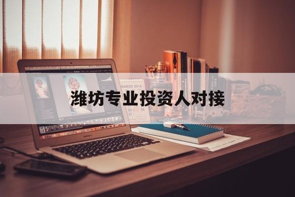 丹东市潍坊专业投资人对接(潍坊专业投资人对接中心)
