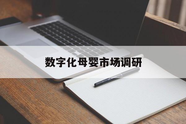 丹东市数字化母婴市场调研(数字化母婴市场调研报告)
